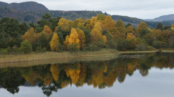 Autumn at Loch of the Lowes- copyright SWT