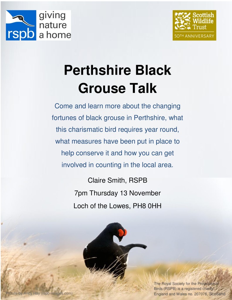 Black Grouse Talk Poster-page-0