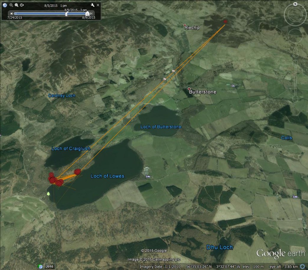 FR3's movements between 5th & 9th August ©Scottish Wildlife Trust