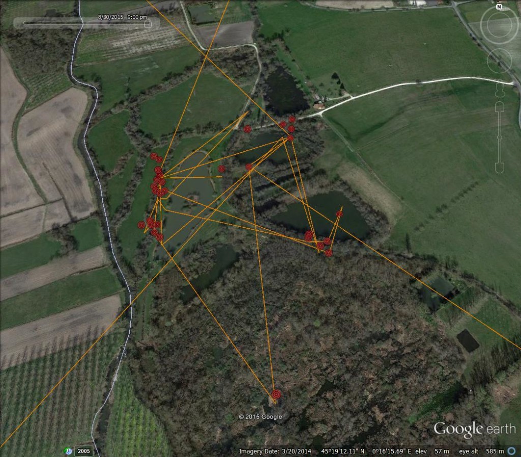 FR3's current location ©Scottish Wildlife Trust