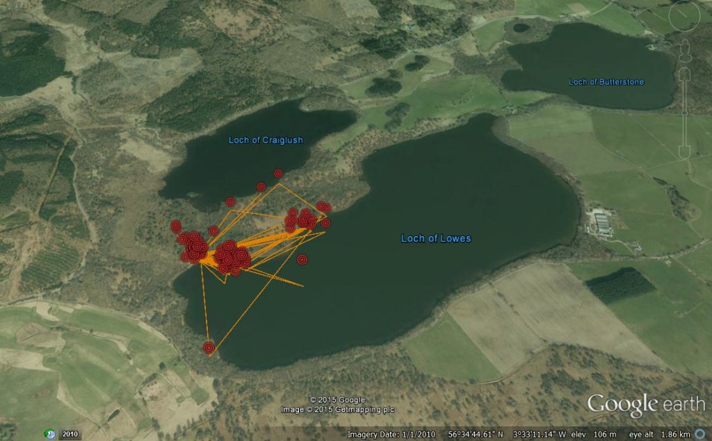 FR3 movements to date © Scottish Wildlife Trust