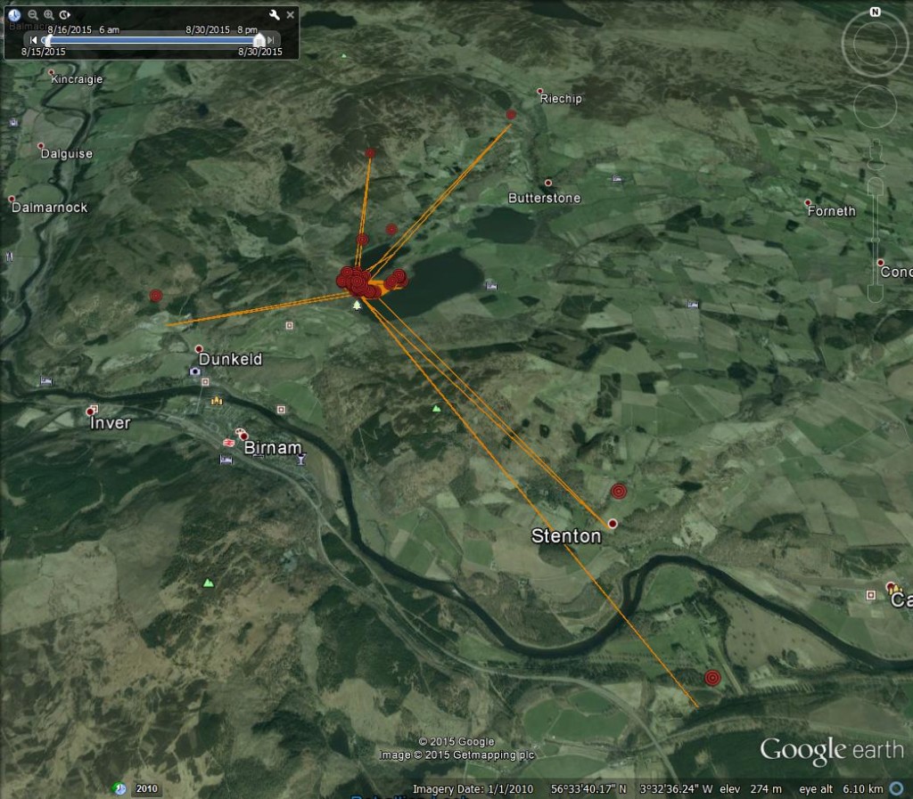 FR4's movement from 16th-30th August 2015 ©Scottish Wildlife Trust