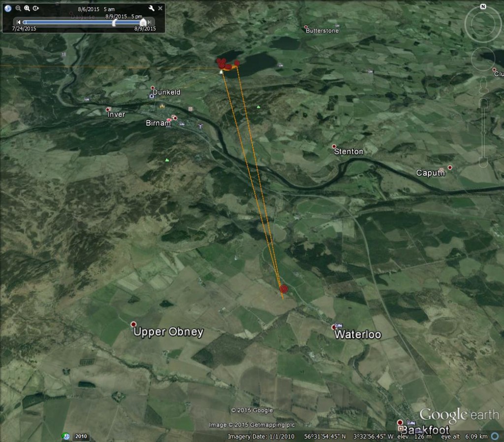 FR4's movements between 5th & 9th August ©Scottish Wildlife Trust