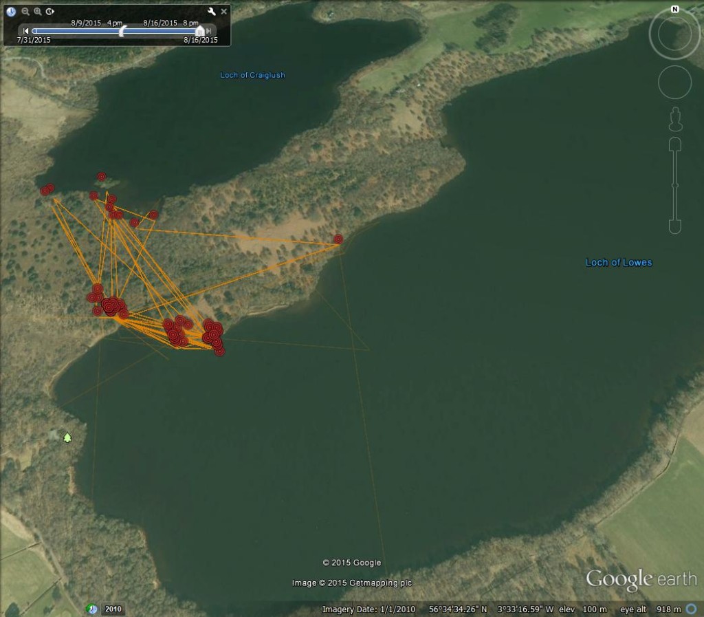 FR4's movements from 9th-16th August 2015