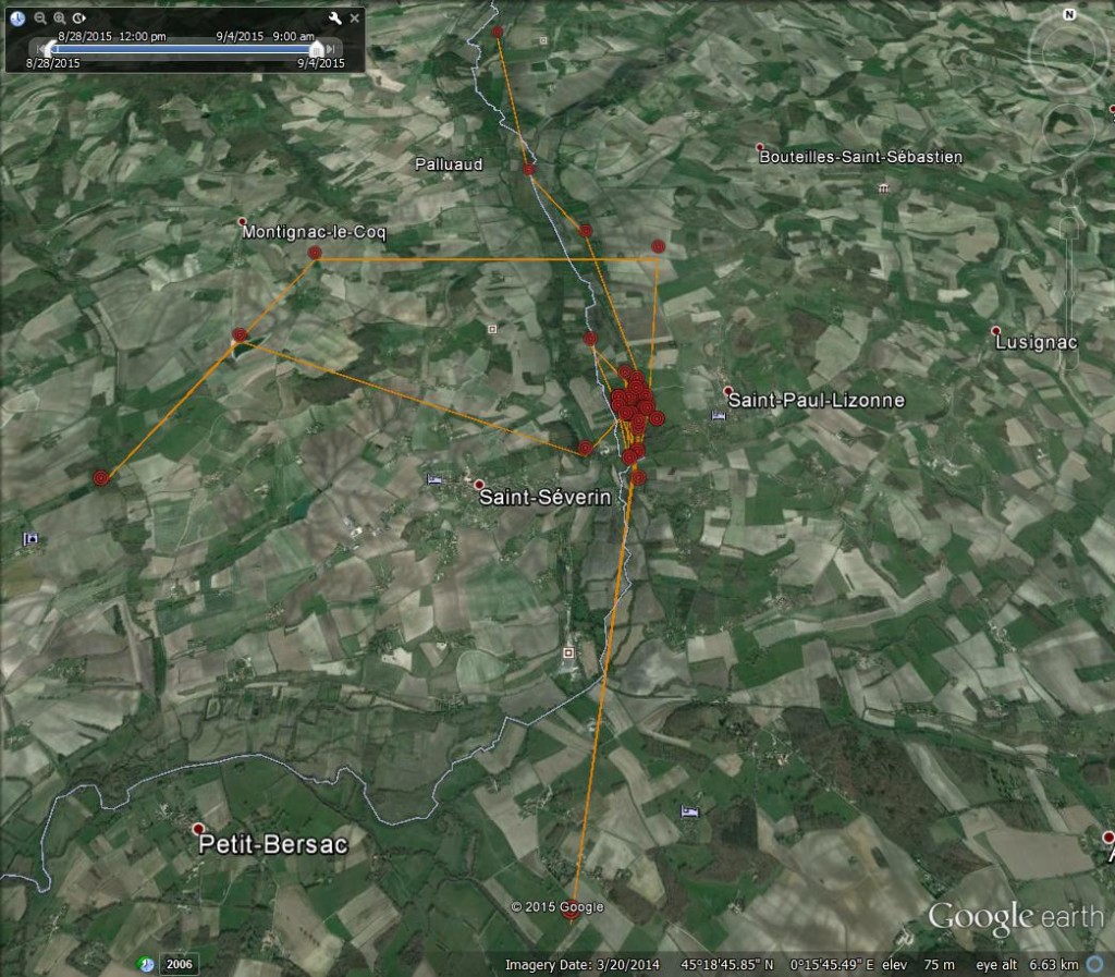 FR3's movements from 28th August-4th September 2015 ©Scottish Wildlife Trust