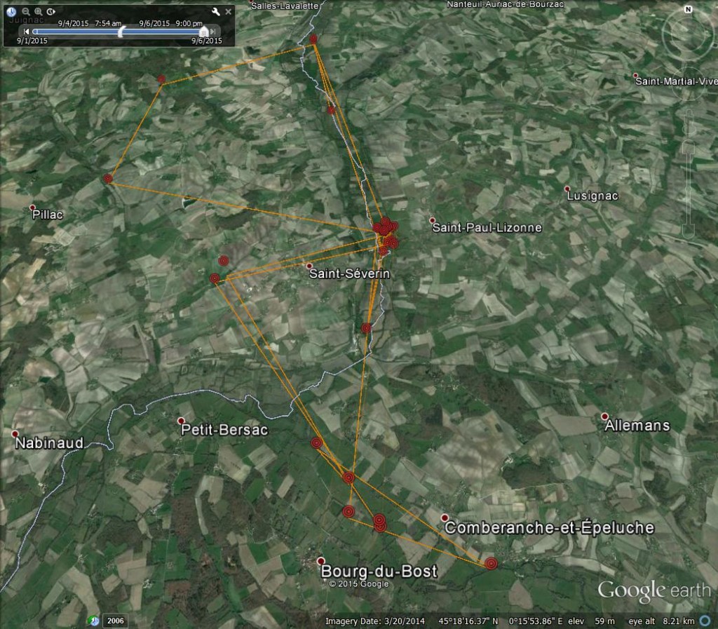 FR3's movements from 4th-6th September 2015 ©Scottish Wildlife Trust