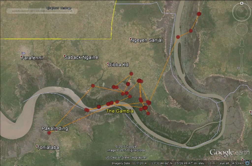 FR4's latest movements to 24th September 2015 ©Scottish Wildlife Trust