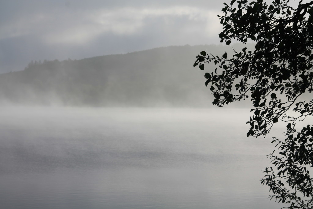 A misty morning at Loch of the Lowes ©Laura Hopkins/Scottish Wildlife Trust