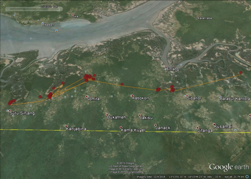 FR3's movements from 14th-20th October 2015 ©Scottish Wildlife Trust