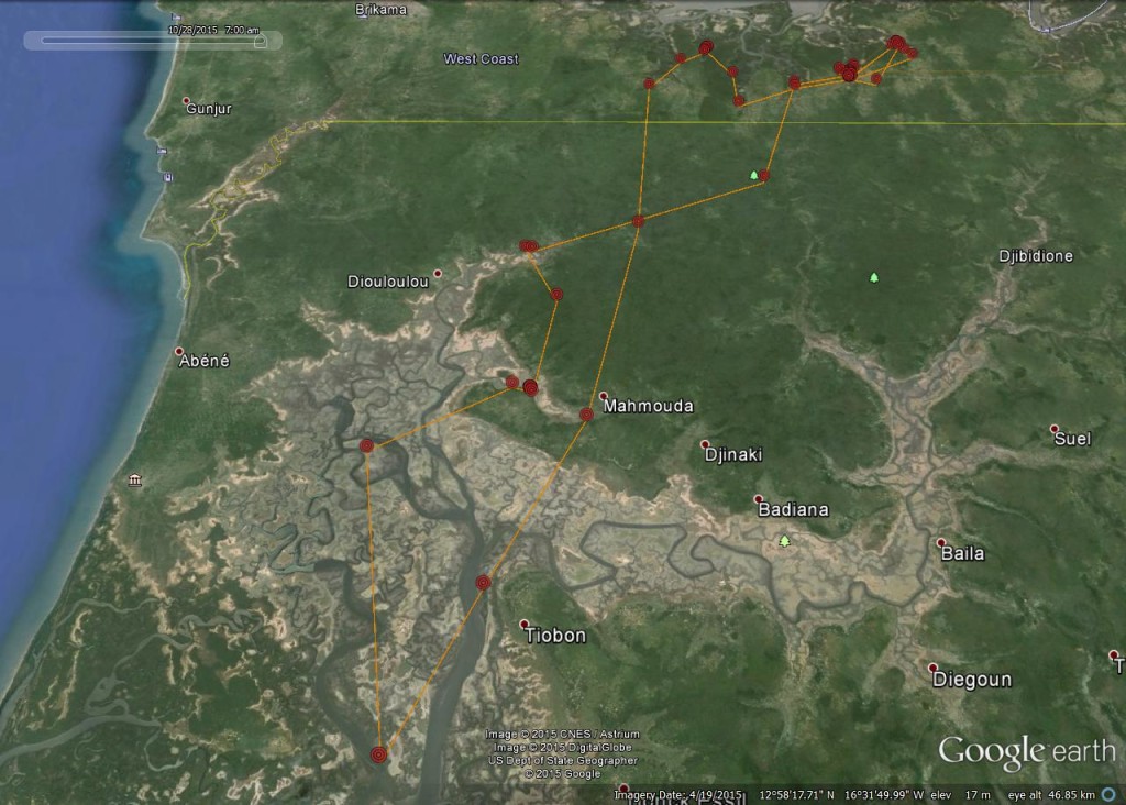 FR3's movements from 21st-27th October 2015 ©Scottish Wildlife Trust