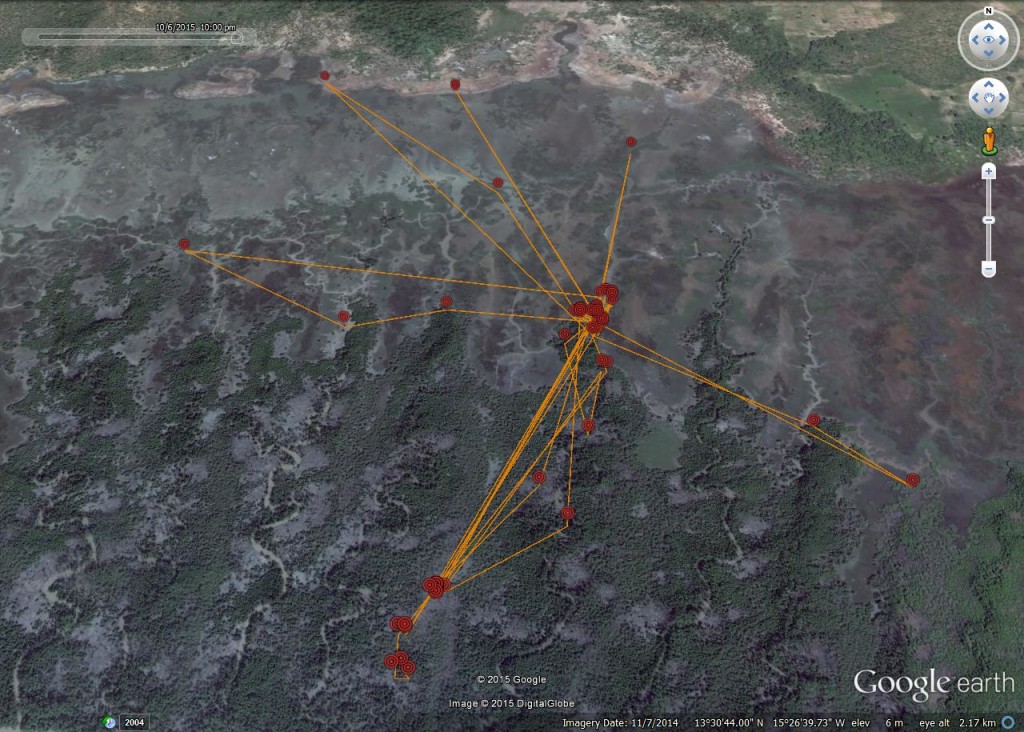 FR4's activity between 2nd and 6th October 2015 ©Scottish Wildlife Trust