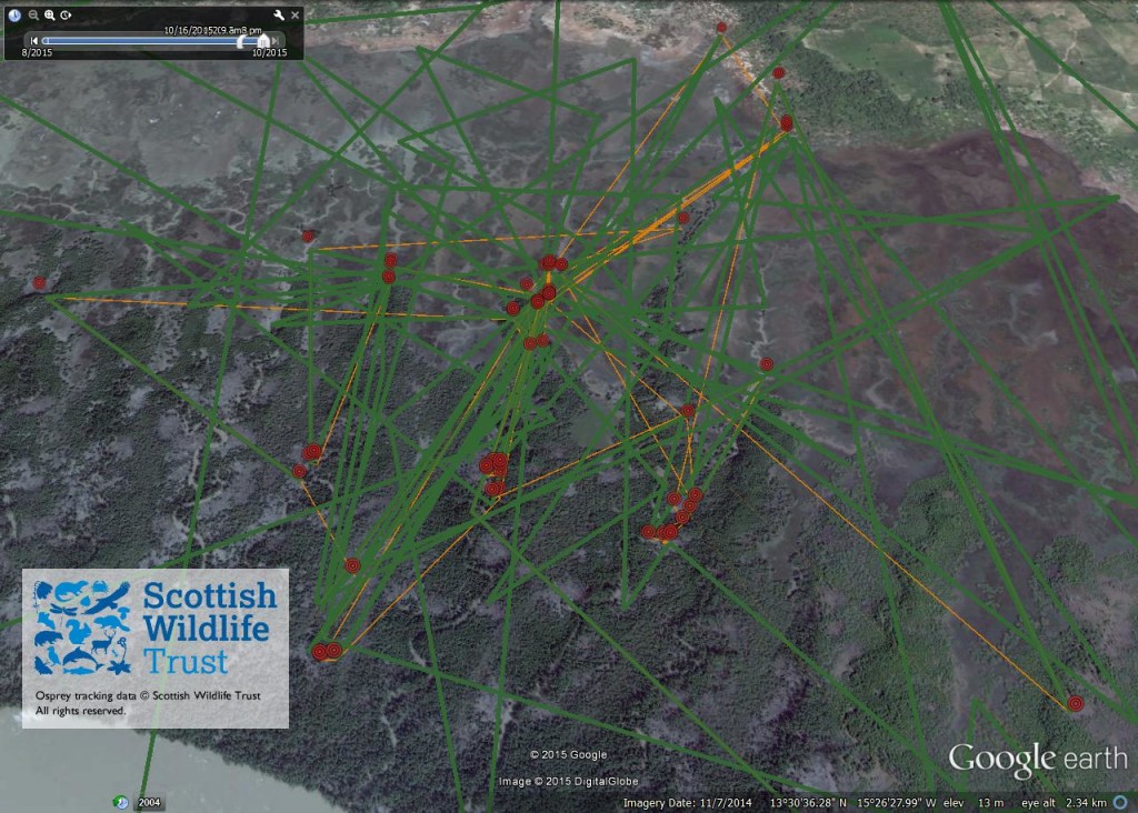 FR4's activity between 16th and 20th October ©Scottish Wildlife Trust