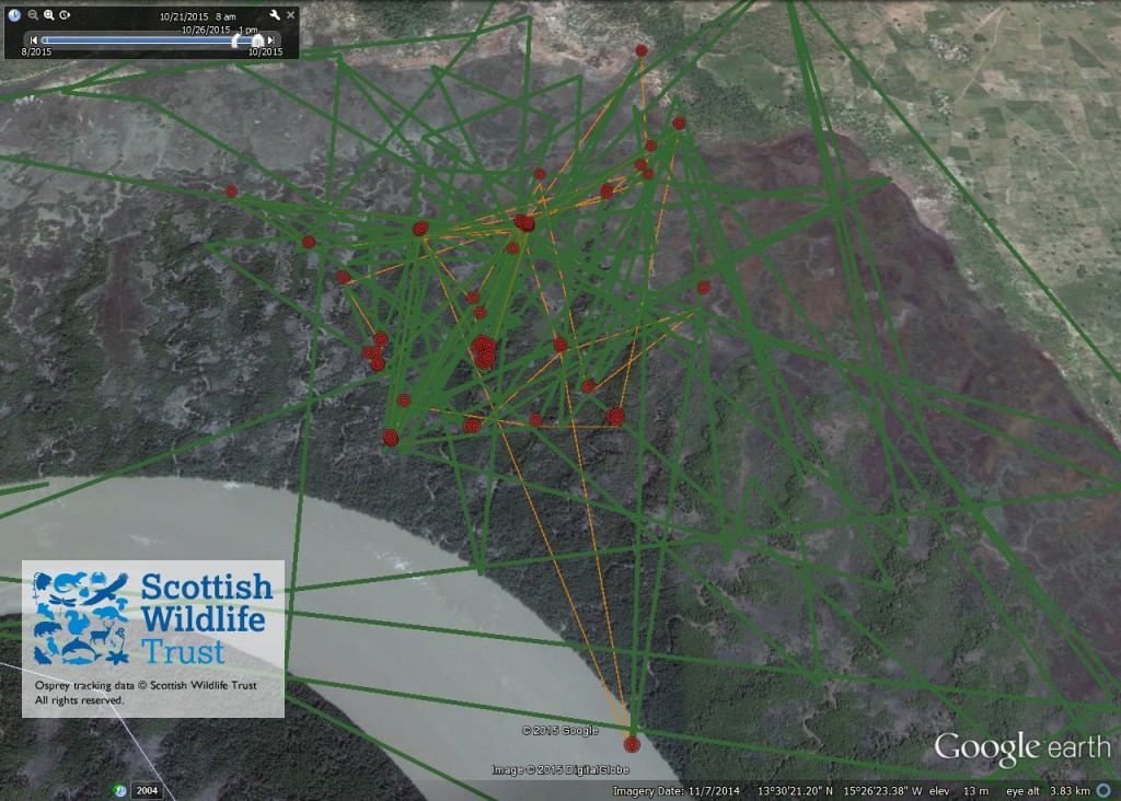 FR4's activity between 21st and 26th October 2015 ©Scottish Wildlife Trust