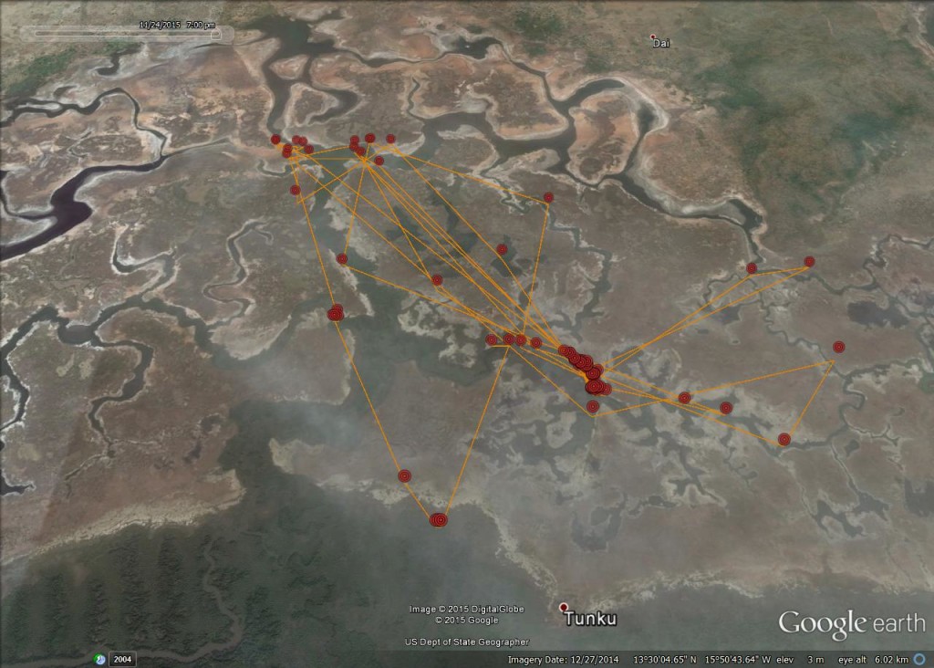 FR4's movements from 15th-24th November 2015 ©Scottish Wildlife Trust