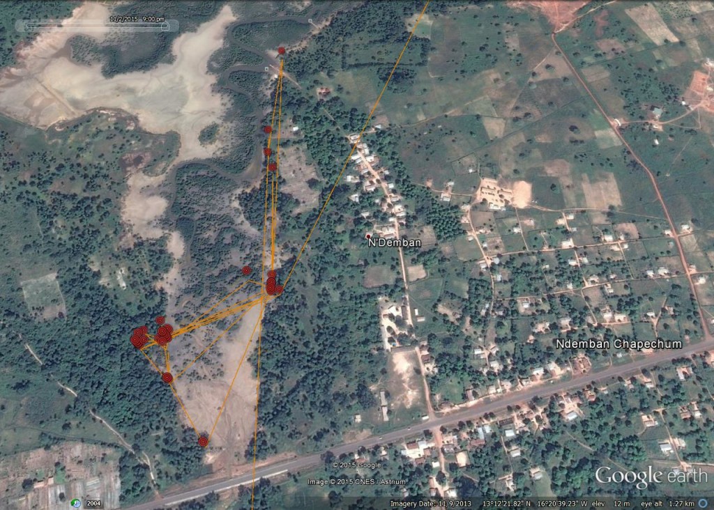 FR3's localised movements around Ndemban ©Scottish Wildlife Trust