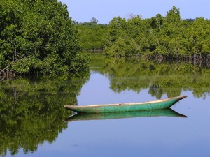 Ndemban River (Credit: Tommaso Rontevroli)