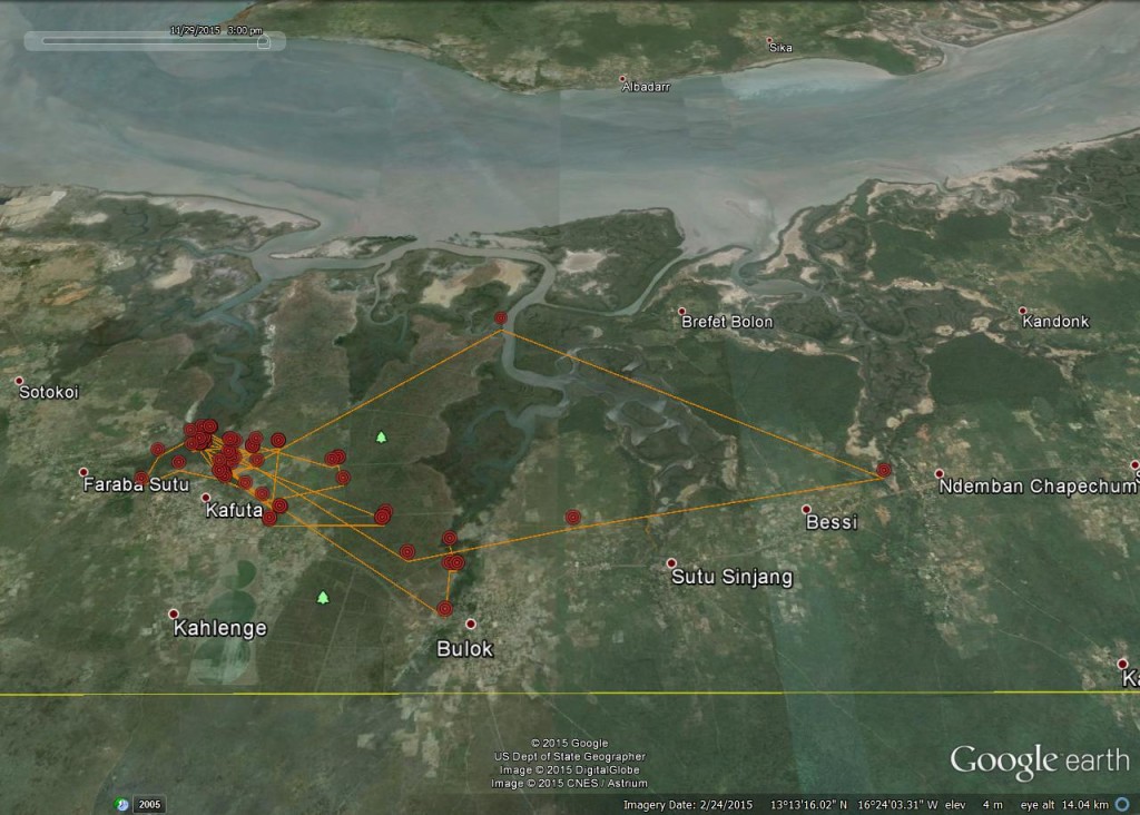 FR3's movements between 23rd and 29th November 2015 ©Scottish Wildlife Trust