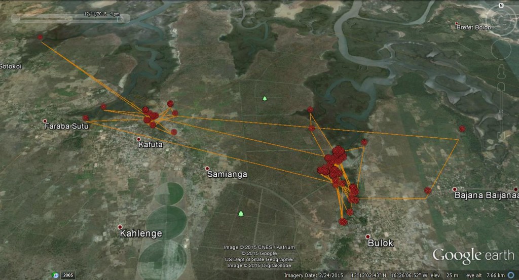 FR3's movements between 30th November and 11th December 2015 ©Scottish Wildlife Trust