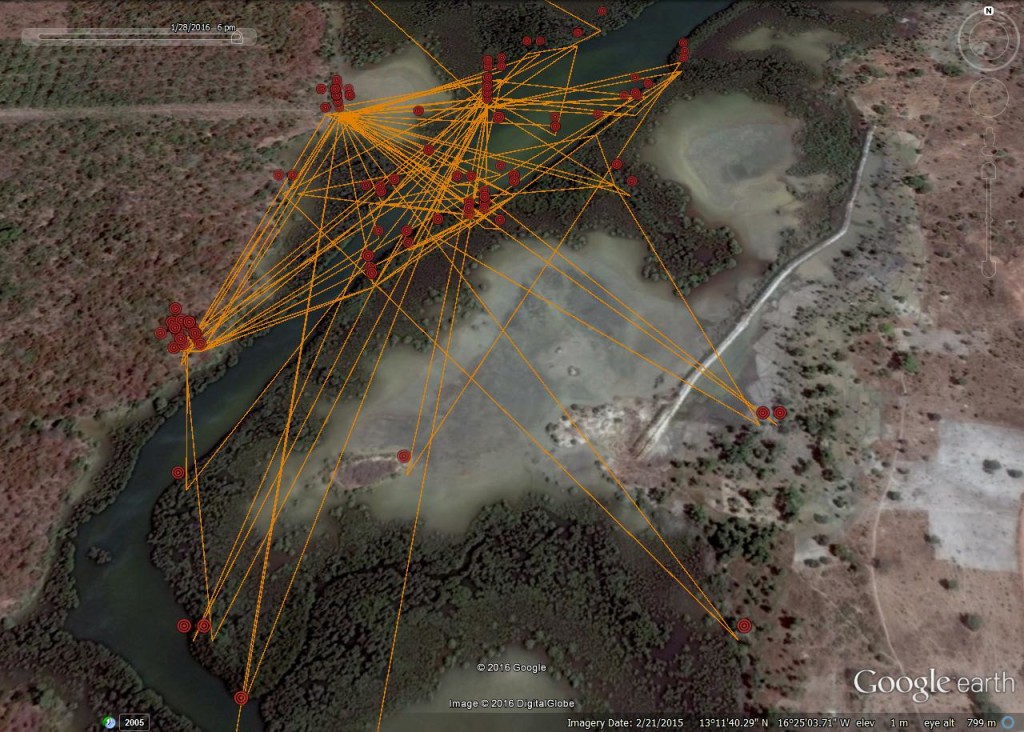 osprey tracking