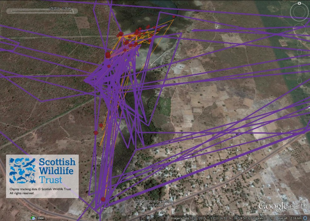 FR3's activity between 3rd & 9th January 2016 © Scottish Wildlife Trust