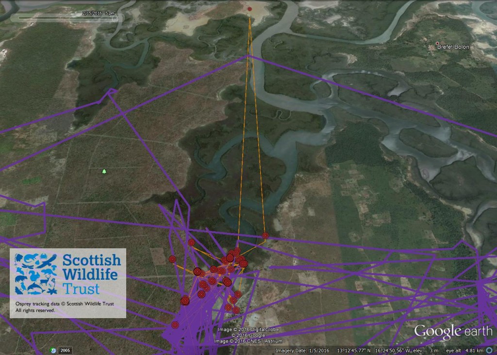 FR3's activity between 4th & 15th February 2016 ©Scottish Wildlife Trust