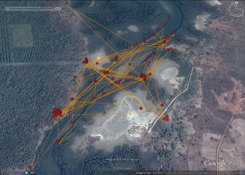 FR3's movements between 1st and 21st March 2016 ©Scottish Wildlife Trust