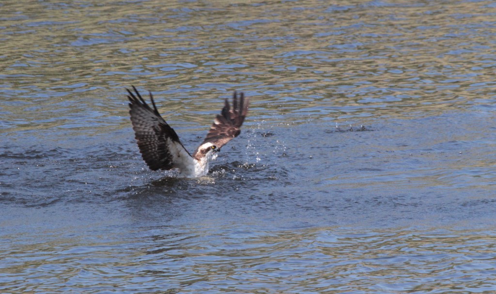 LM12 fishing ©Vanessa Coldwell