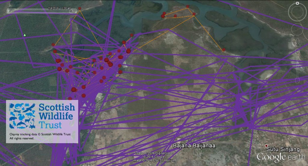 FR3's activity between 27th June and 6th July 2016 