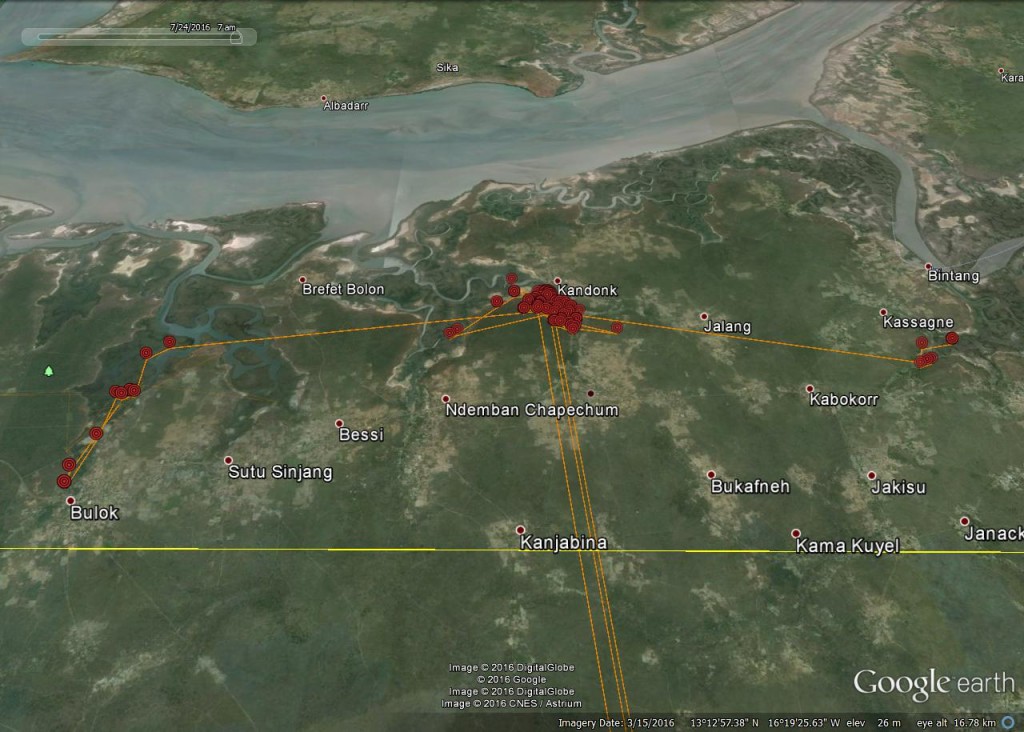 FR3's movements between 9th & 24th July 2016 ©Scottish Wildlife Trust