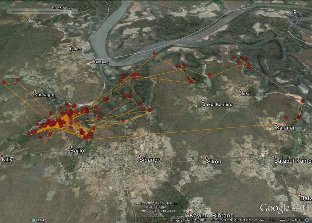 FR3's activity between 24th August and 14th September ©Scottish Wildlife Trust