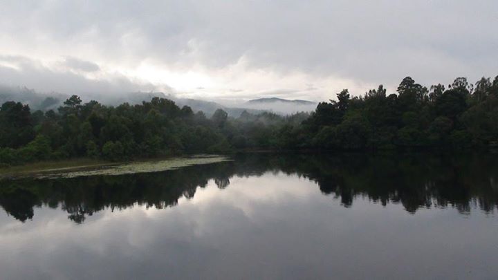 Loch of the Lowes in Summer. Photo taken by Marion Moore.