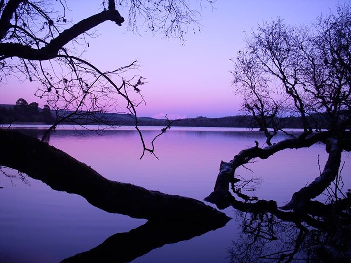 Winter-y sunset at Loch of the Lowes. Photo taken by Cherry Bowen. 