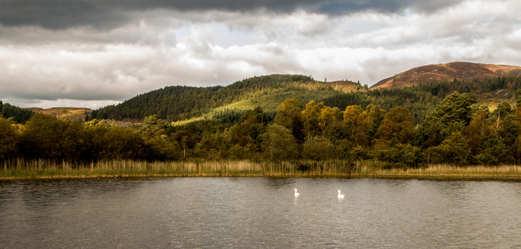 Autumn colours at Loch of the Lowes. Photo taken by Chris Cachia Zammit.