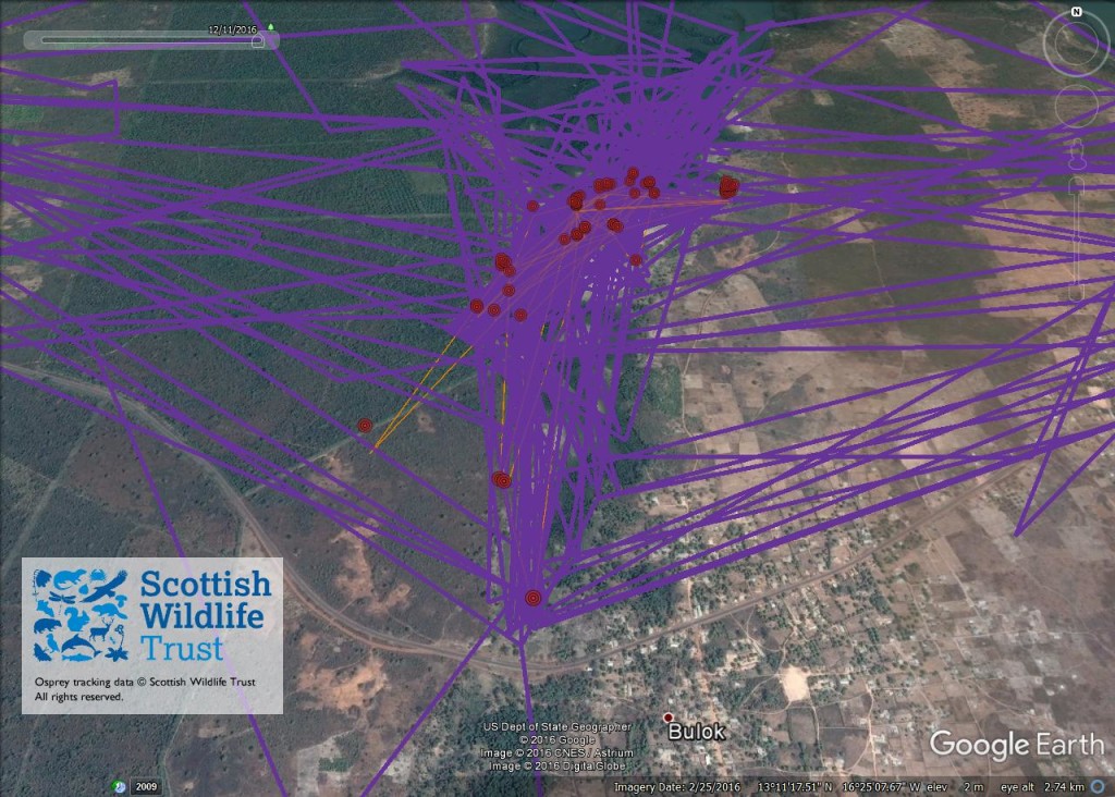 FR3's activity between 5th and 11th December 2016