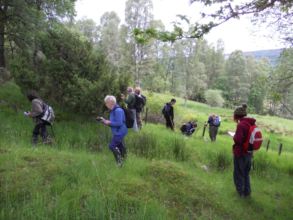 Conservation volunteers carrying out survey work at Balnaguard Glen ©Scottish Wildlife Trust