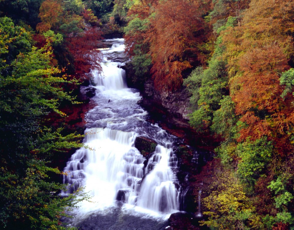 Corra Linn in Autumn © Scottish Wildlife Trust