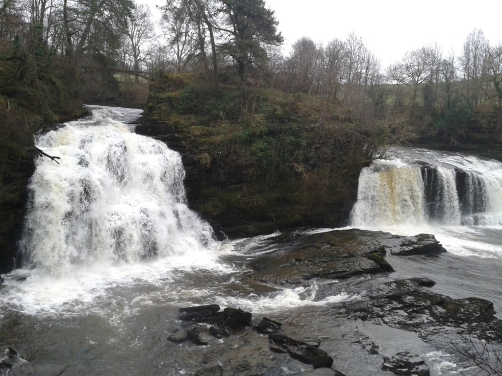 Bonnington Linn (C) Catarina Fonseca