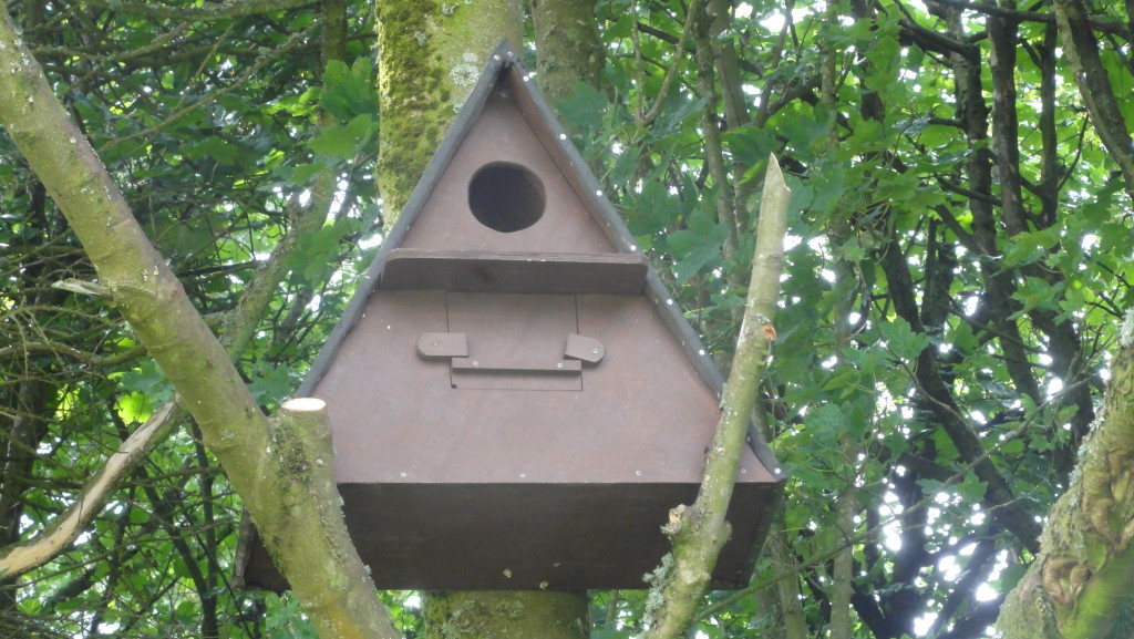 Barn Owl Box (C) Adam Jones