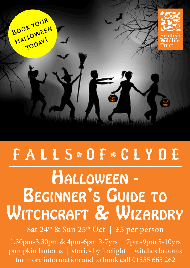 12-Halloween---Beginners-Guide-to-Witchcraft-and-Wizardry-A4