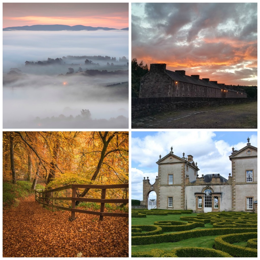 Clockwise from top left - Lanark from Black Hill Cairn (c) Dylan Nardini, New Lanark (c) Ricky Mitchell, Horticulture (c) Alan Collison, Corra Castle, Falls of Clyde (c) Dylan Nardini