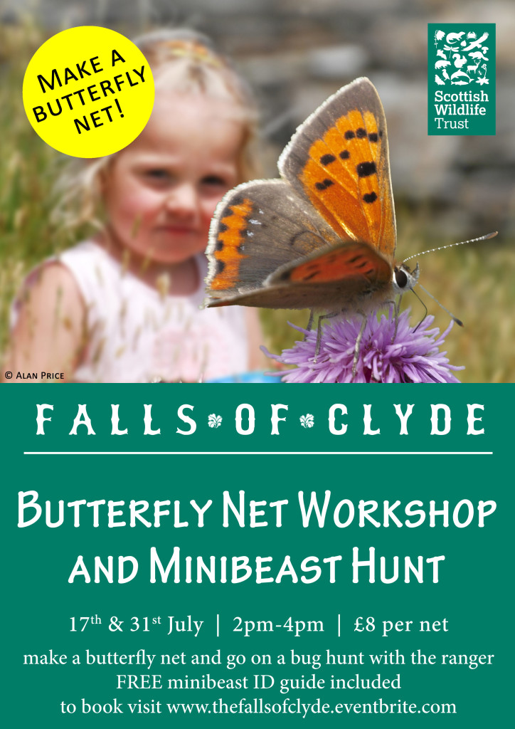 Butterfly-Net-Workshop-and-Minibeast-Hunt-A4