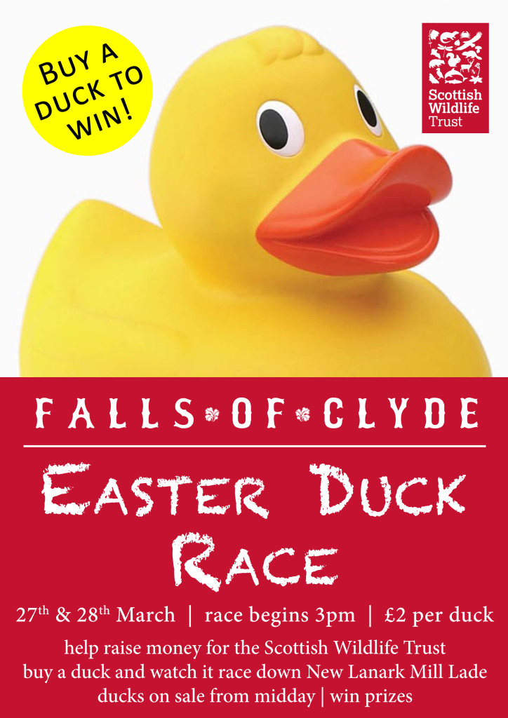 Easter-Duck-Race-A4
