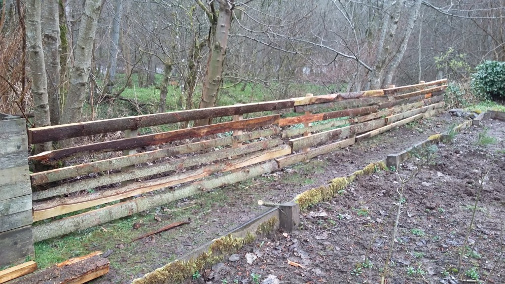 Wooden fence in tree nursery (c) Lori Moore