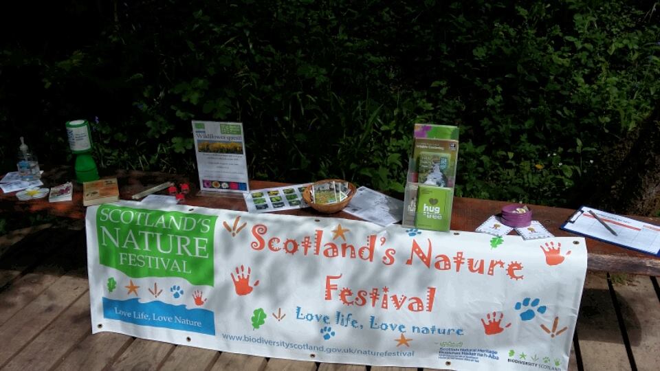 Wildflower quest for Scotland's Nature Festival (c) Lori Moore