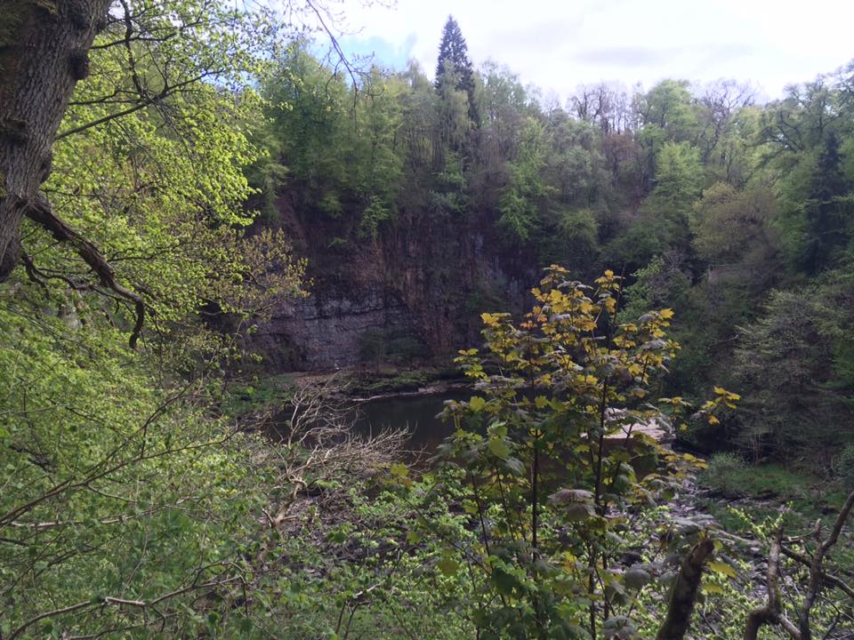 River Clyde gorge (c) Michael Moores