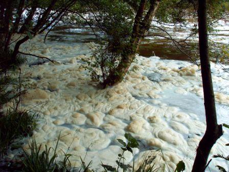 River foam (c) B Cook