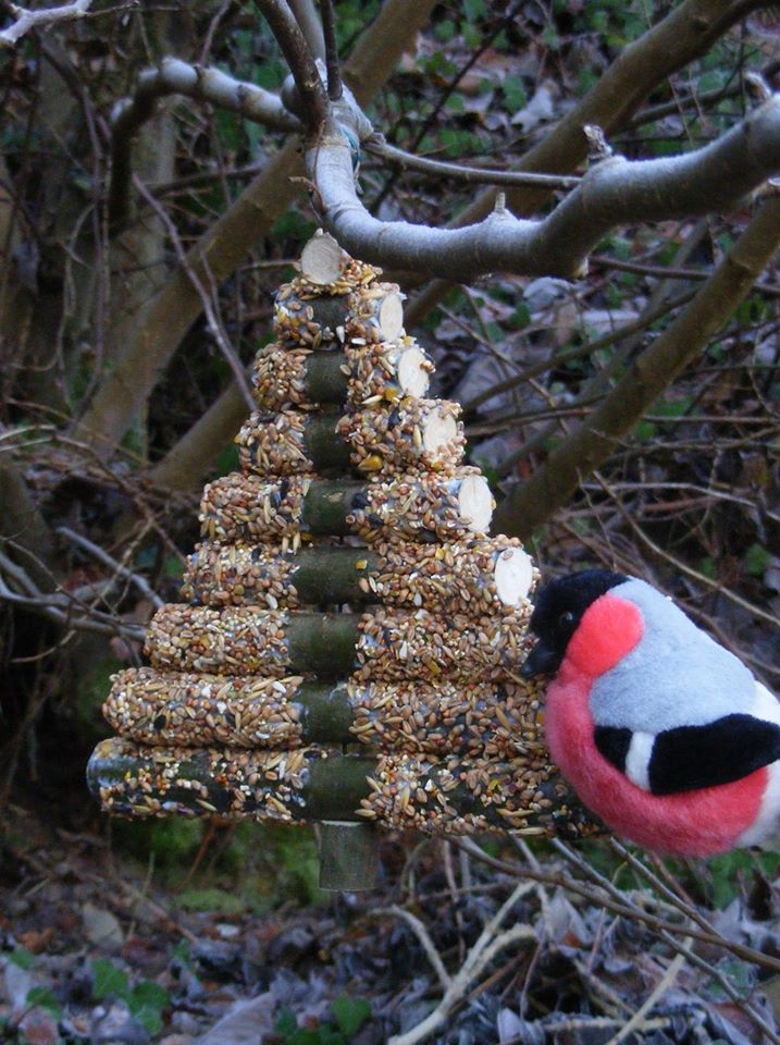 Festive bird feeder (c) Laura Preston