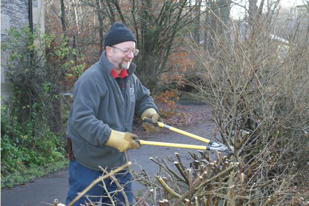 Alex trimming hedge at the tree nursery