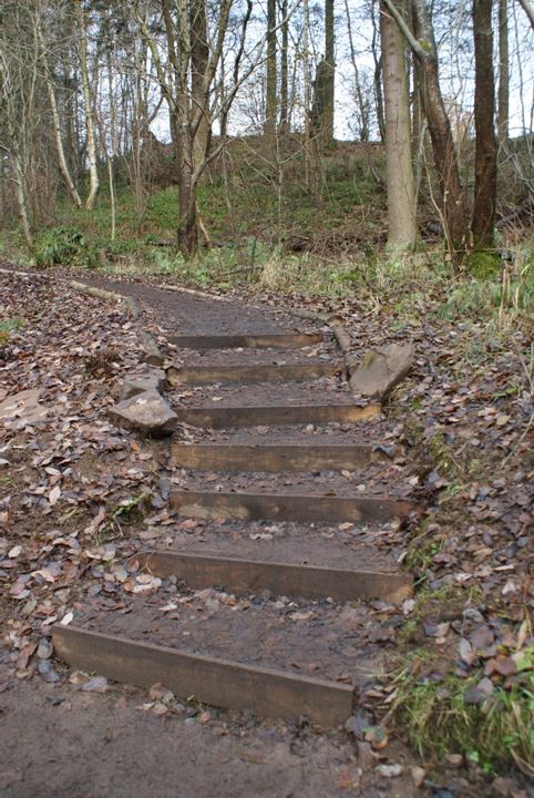 A new path on the reserve built by the conservation volunteers