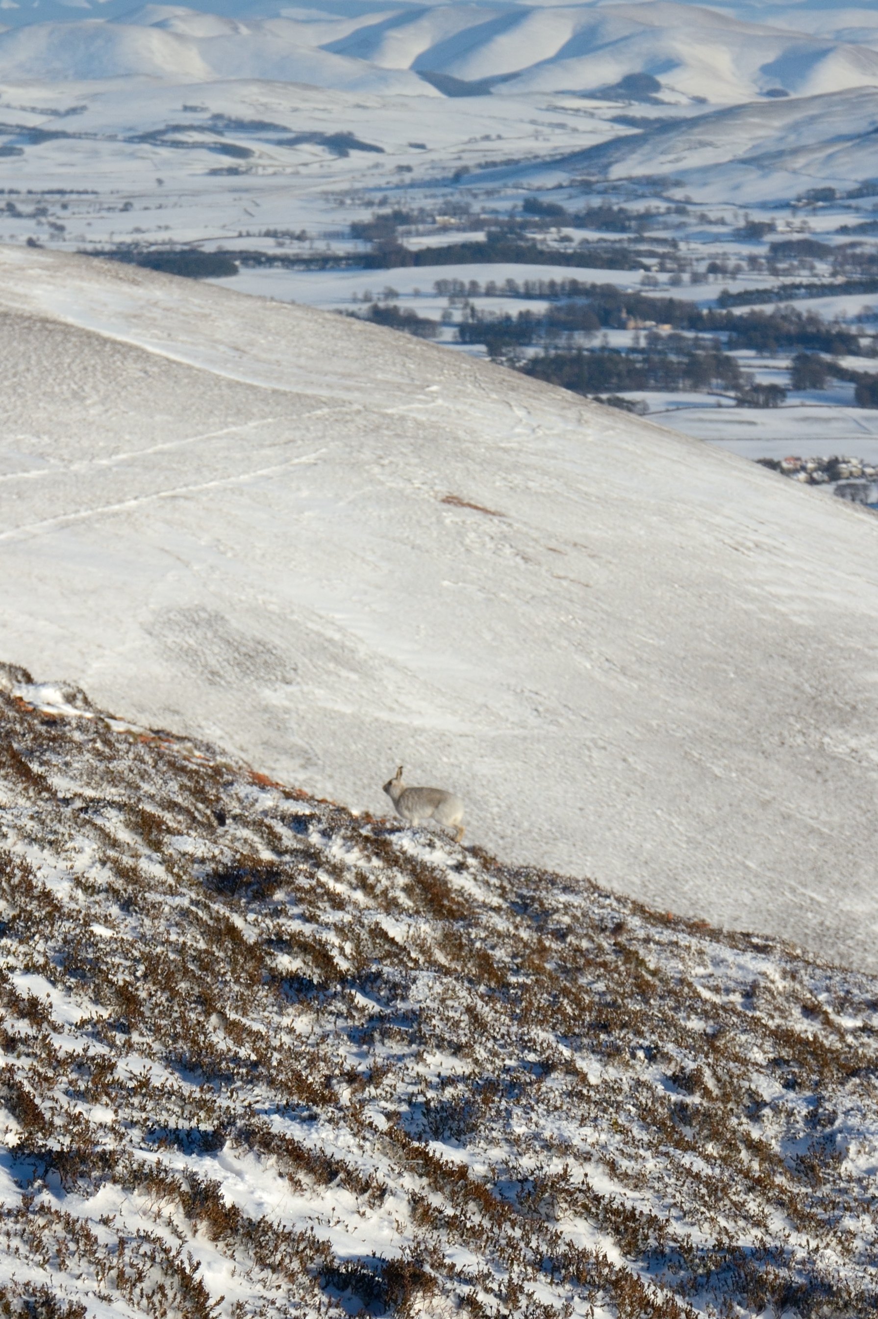 Tinto Hill - All You Need to Know BEFORE You Go (with Photos)